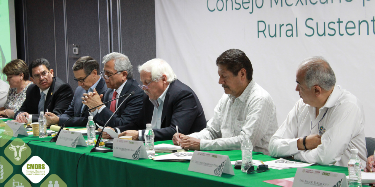 Informe de Comisiones de Trabajo Quinta Sesión Ordinaria 2019